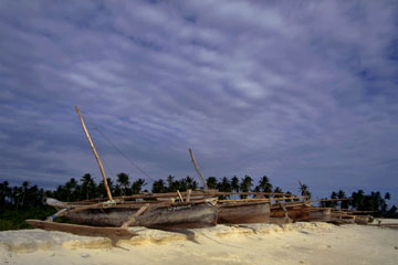 Fishing/Dhows - Photo 8