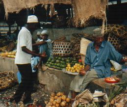 Makiti - Zanzibar