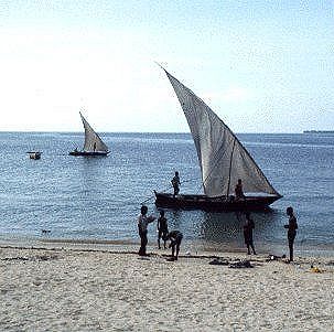 Fishing/Dhows - Photo 6