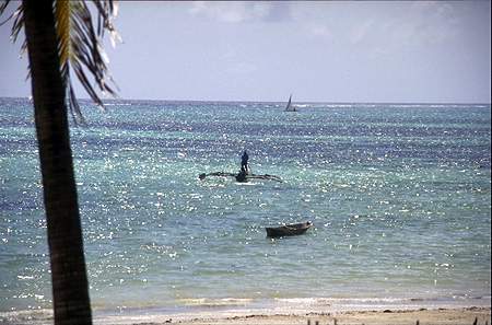 Fishing/Dhows - Photo 1