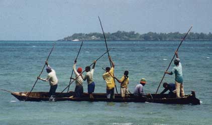 Fishing/Dhows - Mtoni Beach area