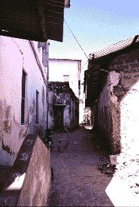 Kiponda Street -  Zanzibar