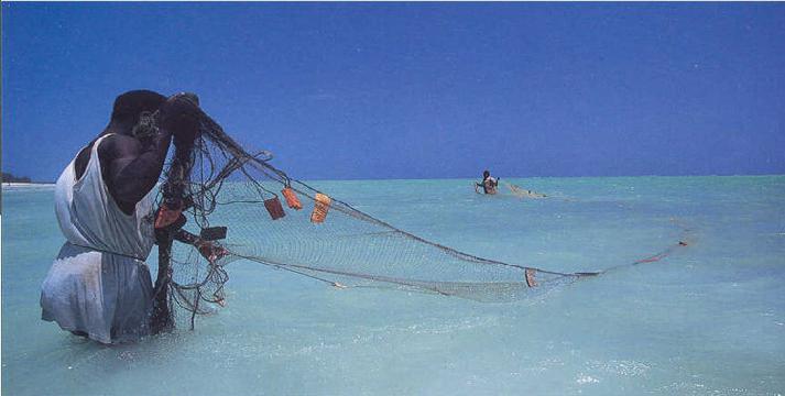 Fishing - Photo 1