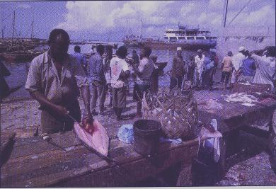 Funguni Fish Market